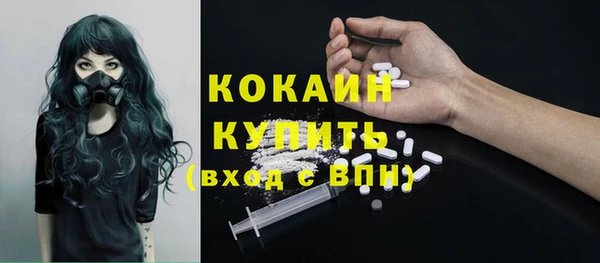 ешки Аркадак
