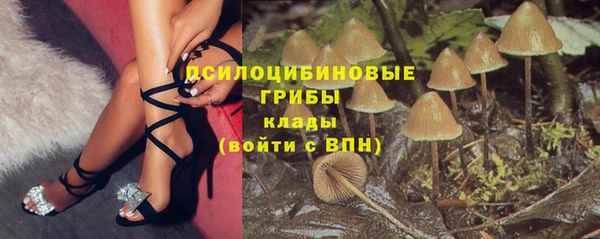 меф Арсеньев