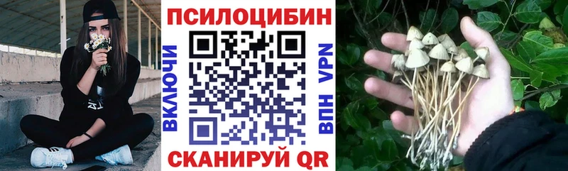 Галлюциногенные грибы Magic Shrooms  blacksprut зеркало  Орлов 