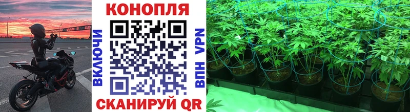 Каннабис Ganja  Орлов 